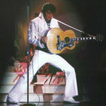 Elvis and Friends in Pigeon Forge TN