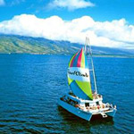 Molokini Snorkel Trip Aboard the Four Winds II in Maalaea HI