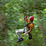 Kohala Zipline Adventure in Kapaau HI