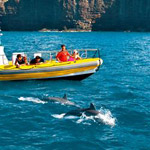 Lanai Wild Side Eco-Tour in Lahaina HI