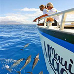 Maui Magic "Dolphin Discovery" Snorkel Adventure in Maalaea HI