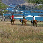 Mendes Ranch and Trail Rides - Maui in Wailuku HI
