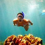 Molokini Wild Side Snorkel in Wailuku HI