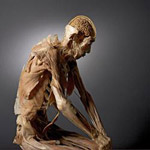 Our Body: The Universe Within in Orlando FL