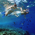 Molokini Eco-Express Morning Snorkel Cruise in Maalaea, Maui HI