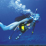 Scuba Diving Oahu - SeaBreeze Watersports in Honolulu HI