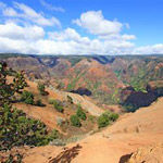 Waimea Canyon Tour - Kauai in Waimea HI