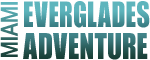Miami Everglades - One Day Adventure Logo