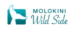Molokini Wild Side Snorkel Logo