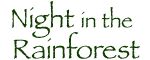 NIGHT in the Rainforest at The Butterfly Palace Logo