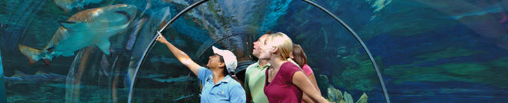 SeaWorld Orlando Vacation Package from Extended Stay Orlando Hotels