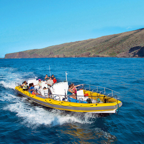 West Maui Raft Snorkel Pacific Whale Foundation