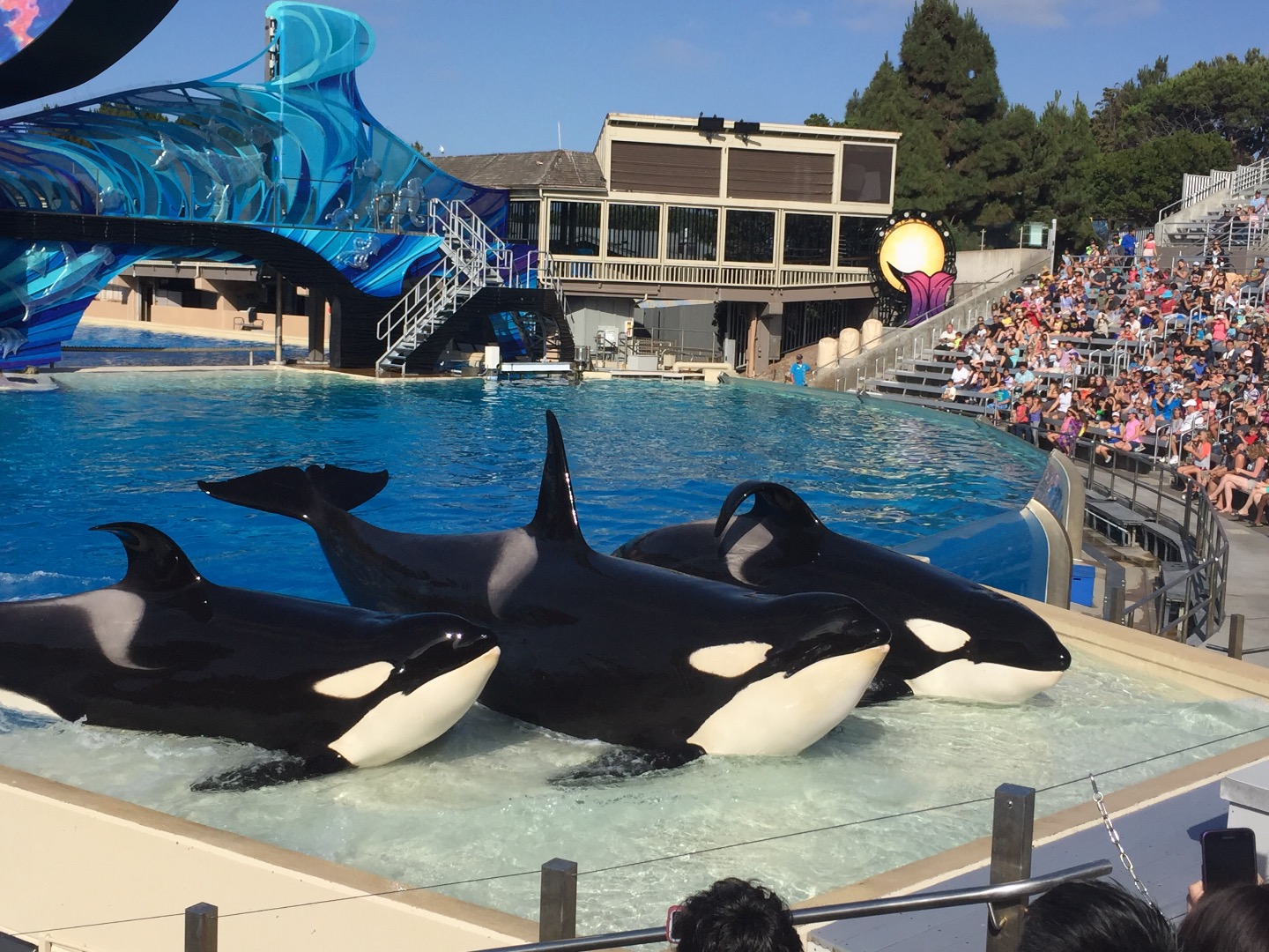 SeaWorld San Diego Discount Tickets San Diego CA