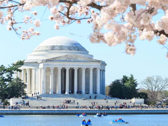Washington D.C., DC