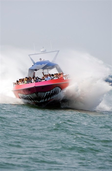 Codzilla Speed Boat Tour Tickets - Boston Harbor Cruises | Tripster