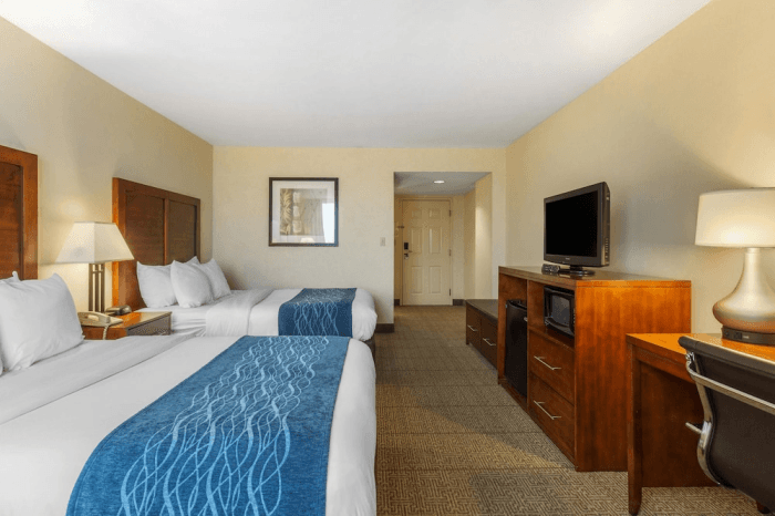 Comfort Inn Conference Center Bowie Md Tripster