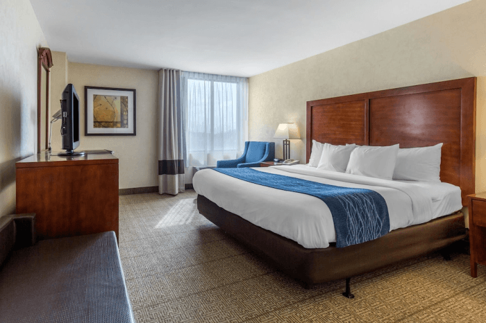 Comfort Inn Conference Center Bowie Md Tripster