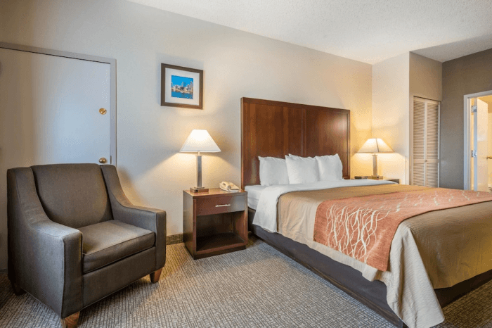 Comfort Inn Suites Seattle Wa Tripster