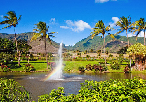 plantation tour maui