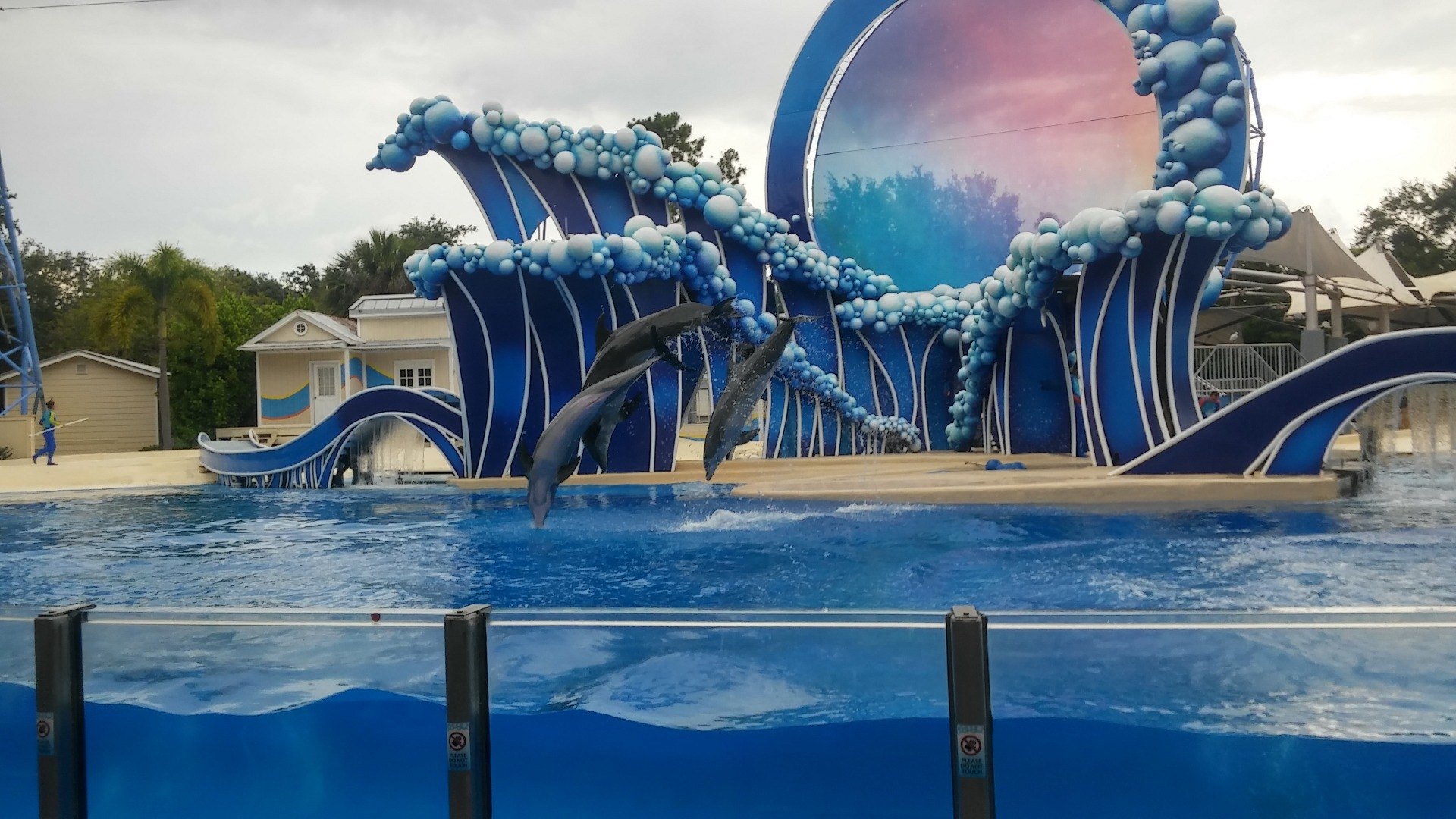  SeaWorld  Orlando Tickets Discount  Tickets to SeaWorld 