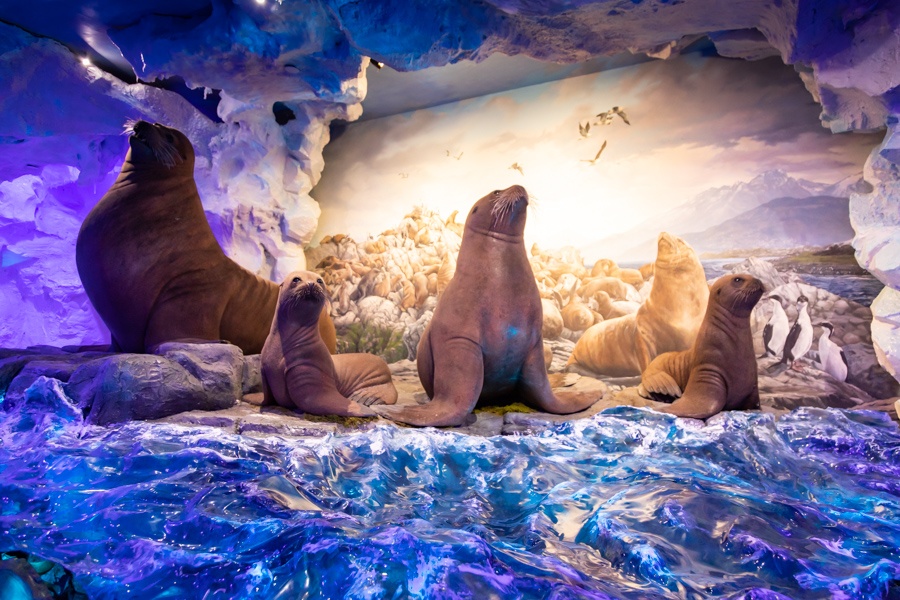 Johnny Morris' Wonders of Wildlife National Museum & Aquarium ... - D392e608 750c 4Daa 9f4e 61b97a959369