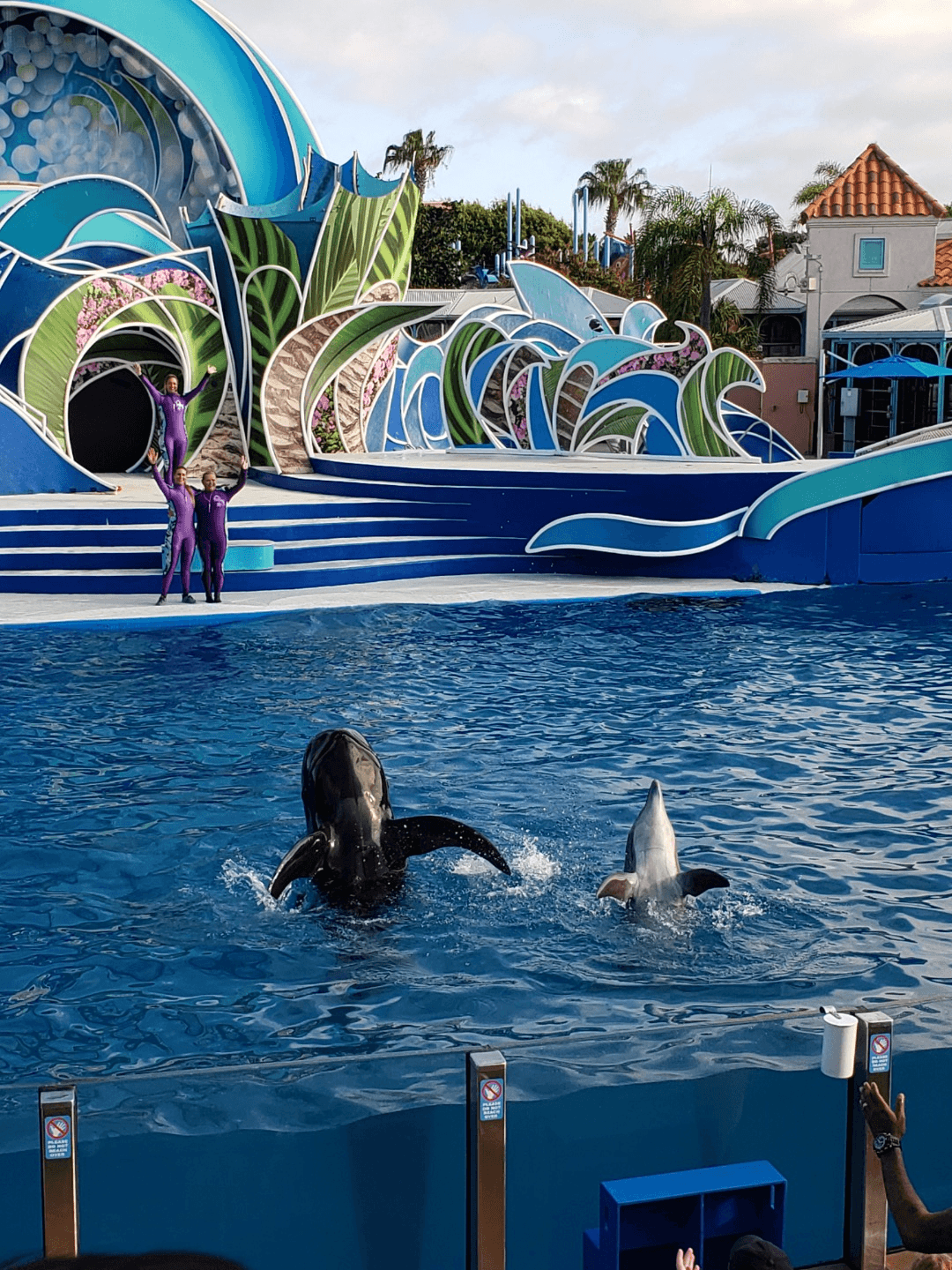 SeaWorld San Diego Discount Tickets - San Diego, CA | Tripster