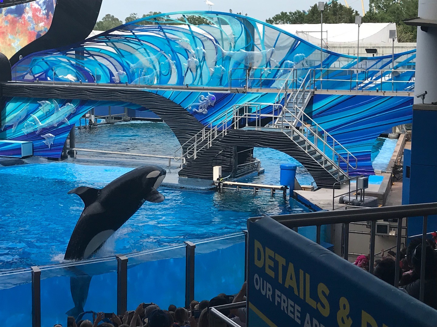 SeaWorld Orlando Tickets | Discount Tickets to SeaWorld